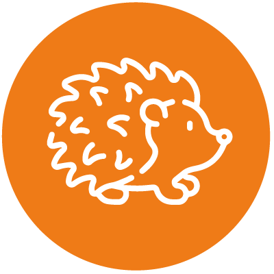 Hedgehogs (Reception)