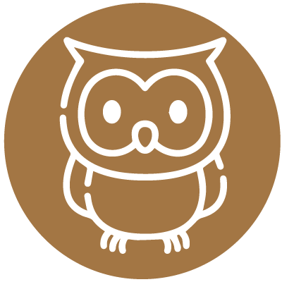 Owls (Year 6)