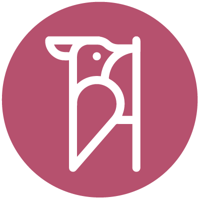 Woodpeckers (Year 5)